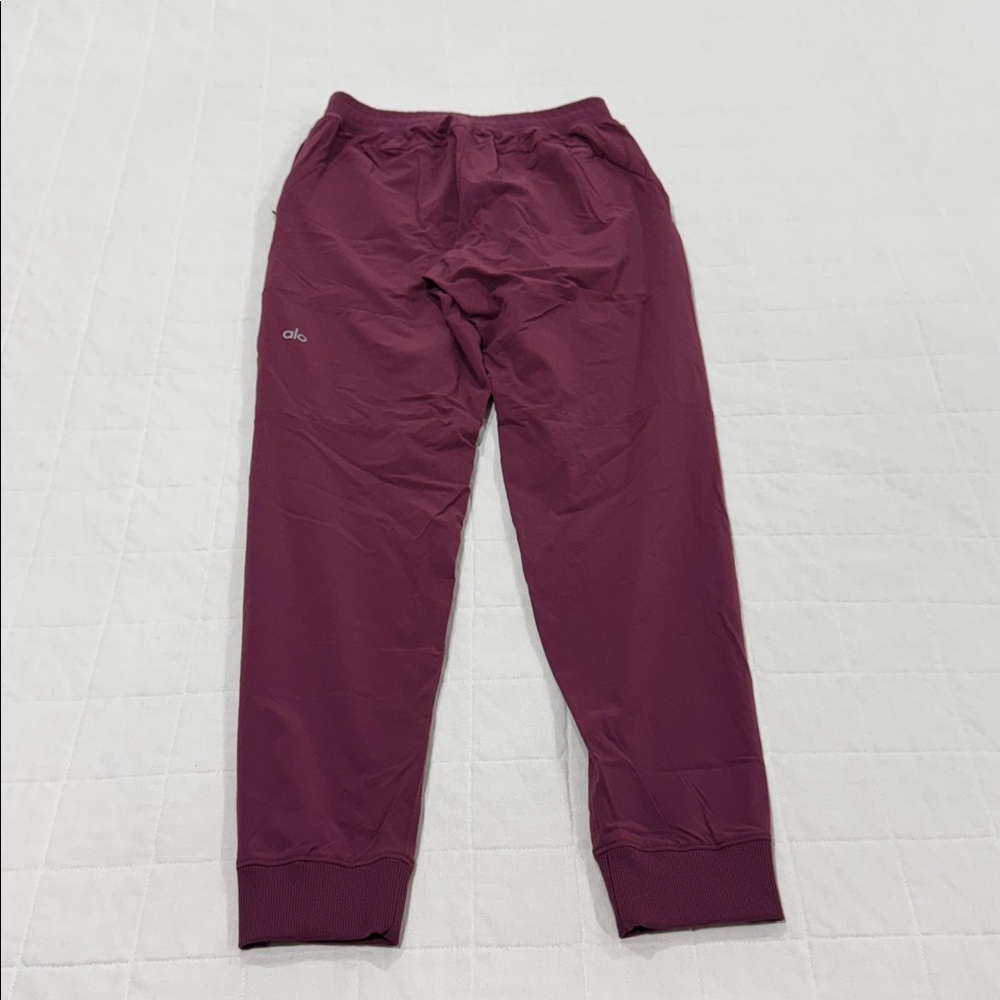 Alo Joggers - Picture 7 of 13
